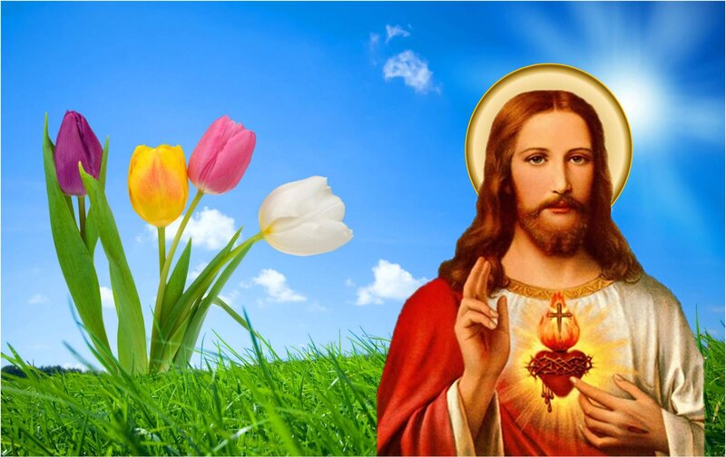 Jesus Christ with Tulips