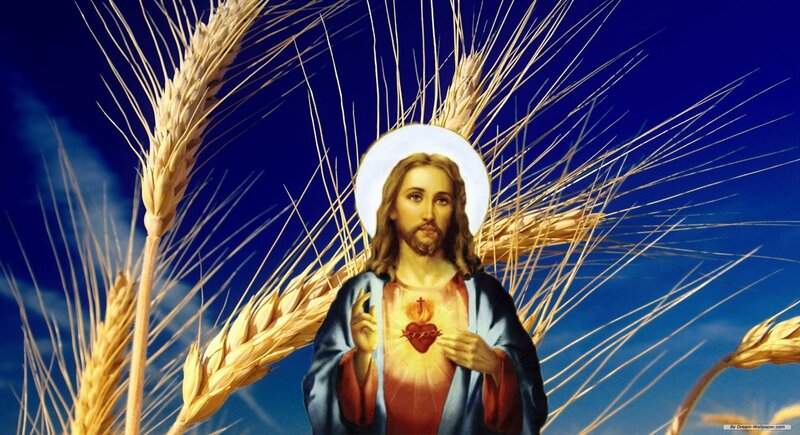 Jesus Christ with Wheat