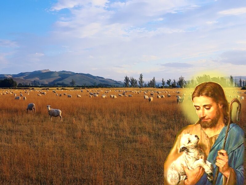 Jesus Holding a Lamb — Blue, Serene, Afternoon, Illustration