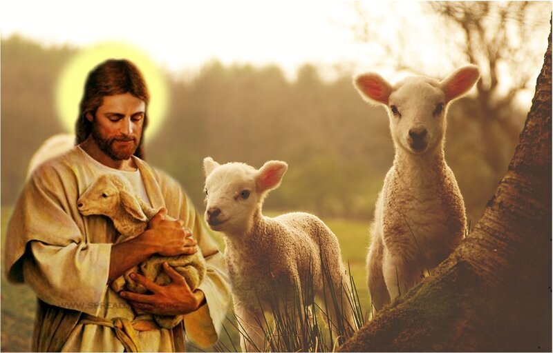 Jesus Holding a Lamb — Golden, Serene, Sunset