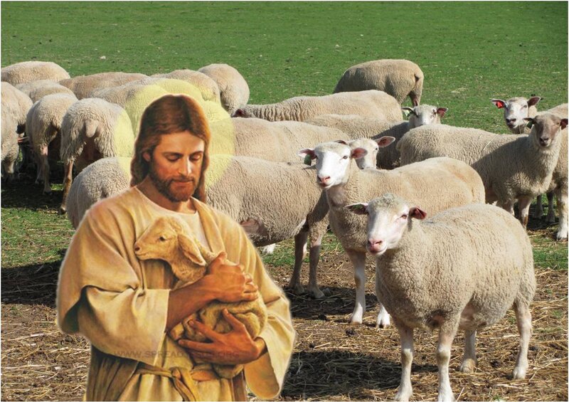 Jesus Holding a Lamb — Green, Serene, Afternoon, Illustration, Sheep, Field