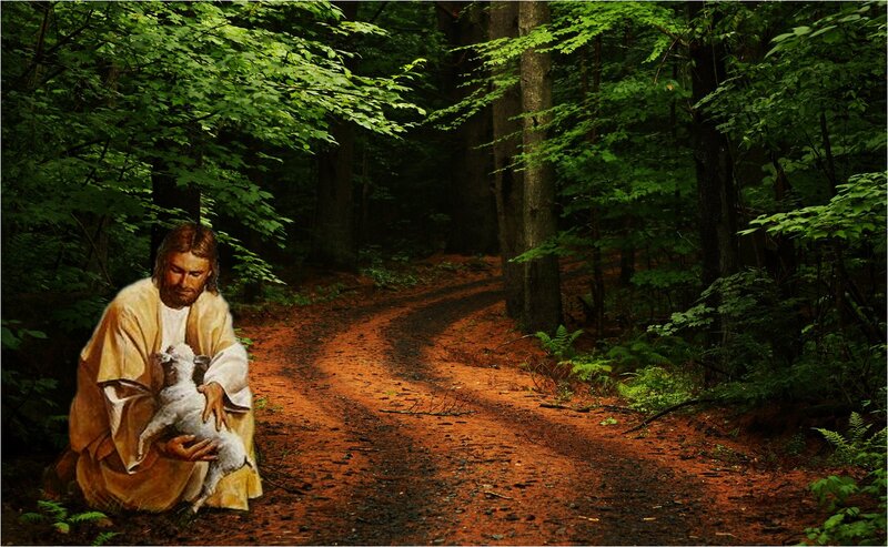 Jesus Holding a Lamb — Green, Serene, Afternoon