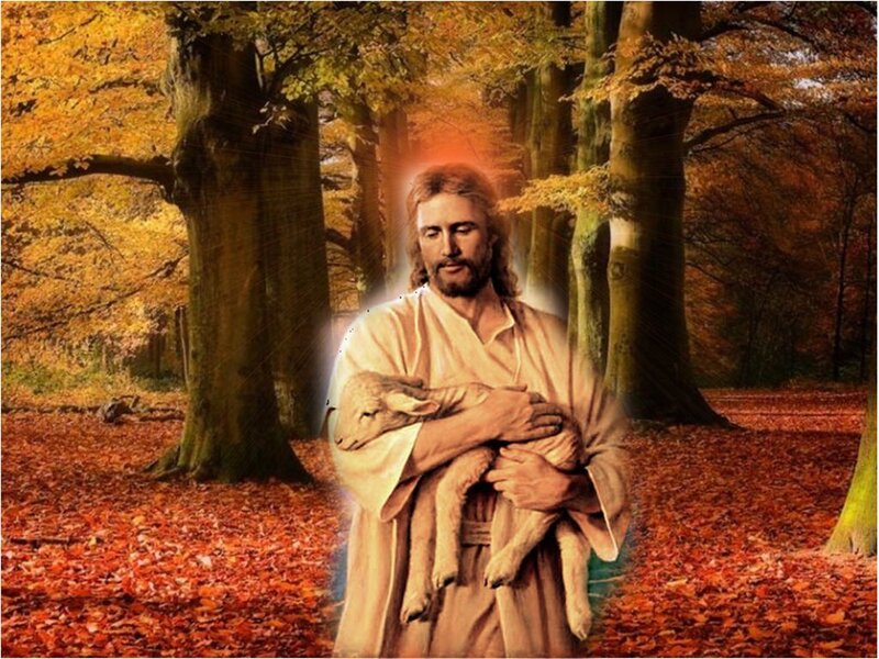 Jesus Holding a Lamb — Orange, Serene, Peaceful