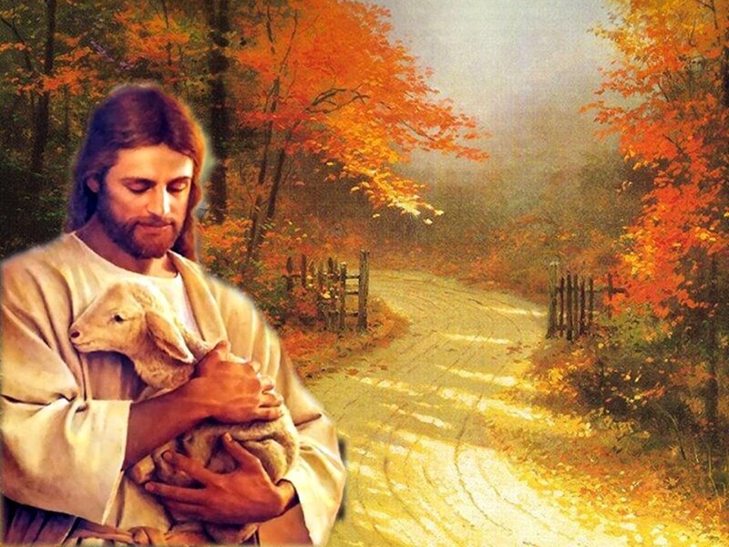 Jesus Holding a Lamb — Orange, Serene