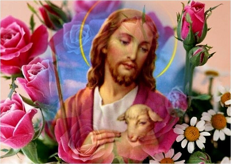 Jesus Holding a Lamb — Pink, Serene, Peaceful