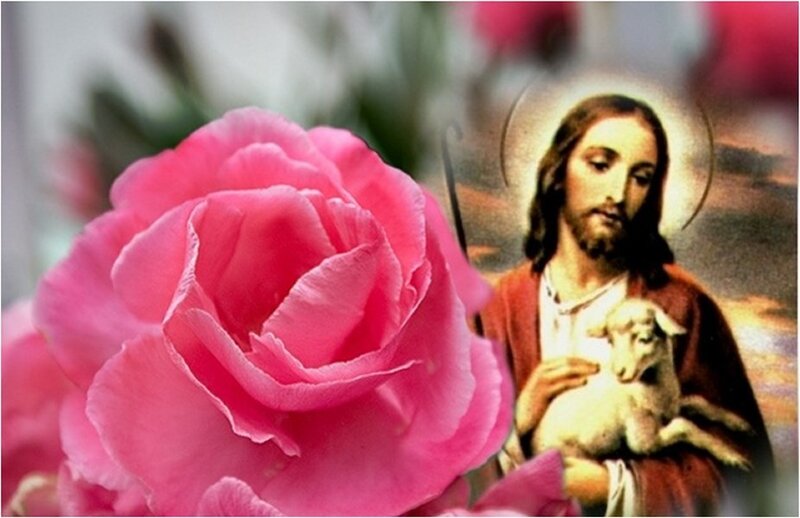 Jesus Holding a Lamb — Pink, Serene