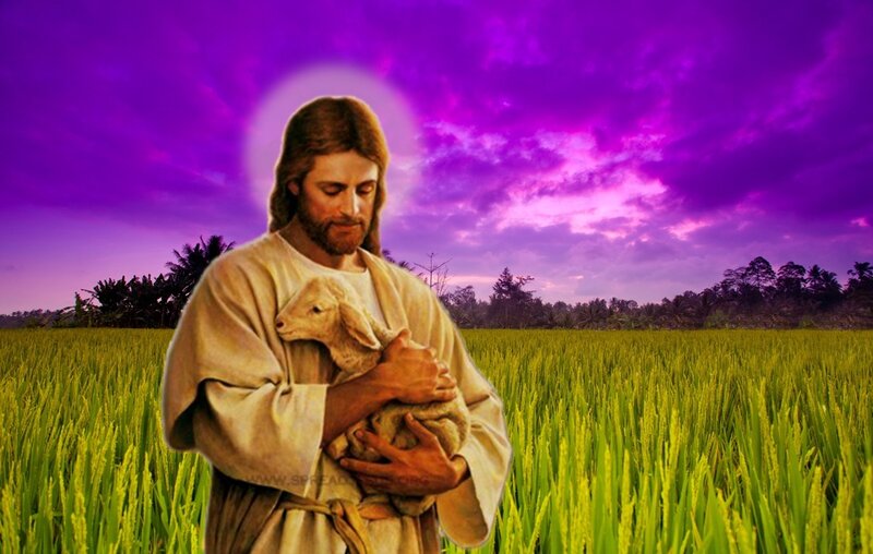 Jesus Holding a Lamb — Purple, Serene