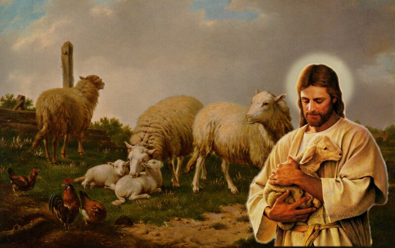 Jesus Holding a Lamb — White, Serene