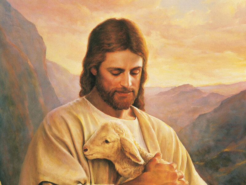 Jesus Holding a Lamb — Yellow, Serene, Sunset