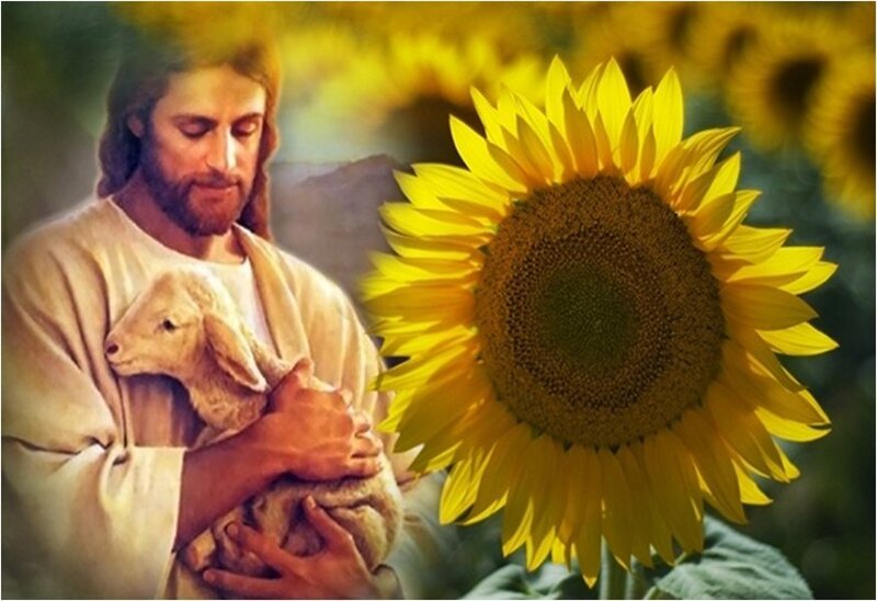 Jesus Holding a Lamb — Yellow