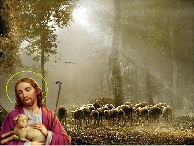 Jesus Holding Lamb — Brown, Serene