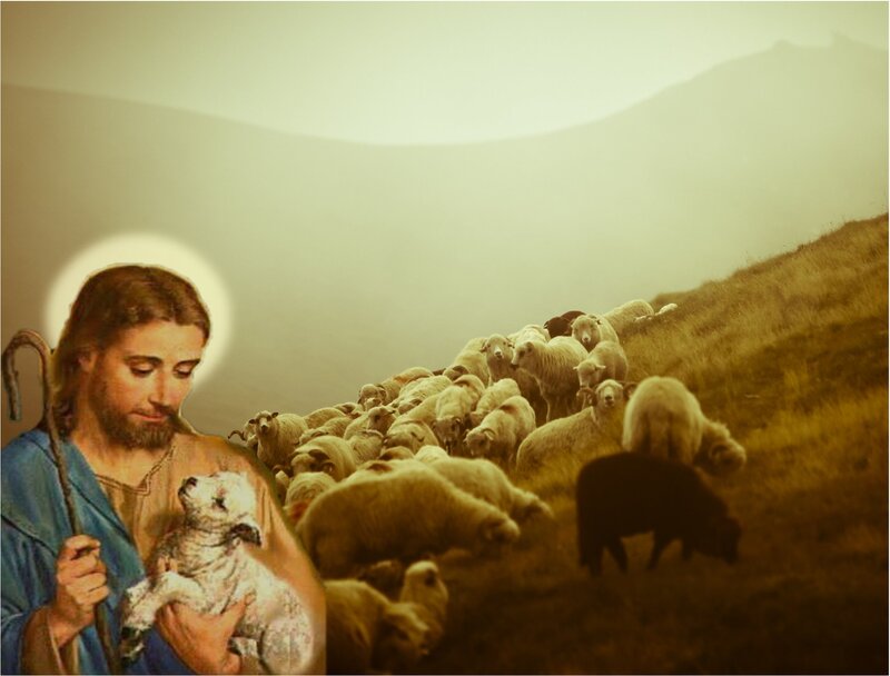 Jesus Holding Lamb — Brown