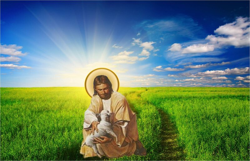 Jesus Holding Lamb — Green, Serene, Afternoon, Illustration, Halo