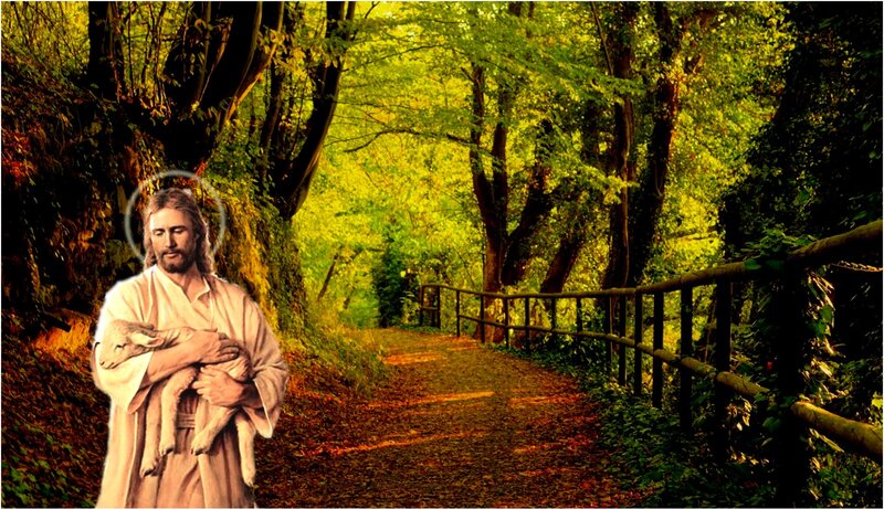 Jesus Holding Lamb — Green, Serene, Afternoon, Illustration