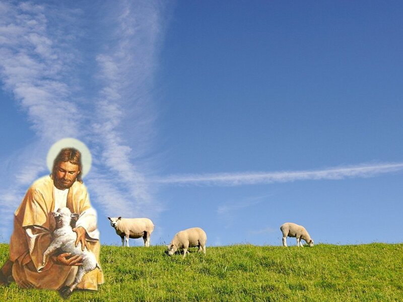 Jesus Holding Lamb — Green, Serene, Afternoon