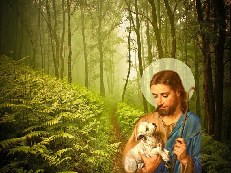 Jesus Holding Lamb — Green, Serene, Morning