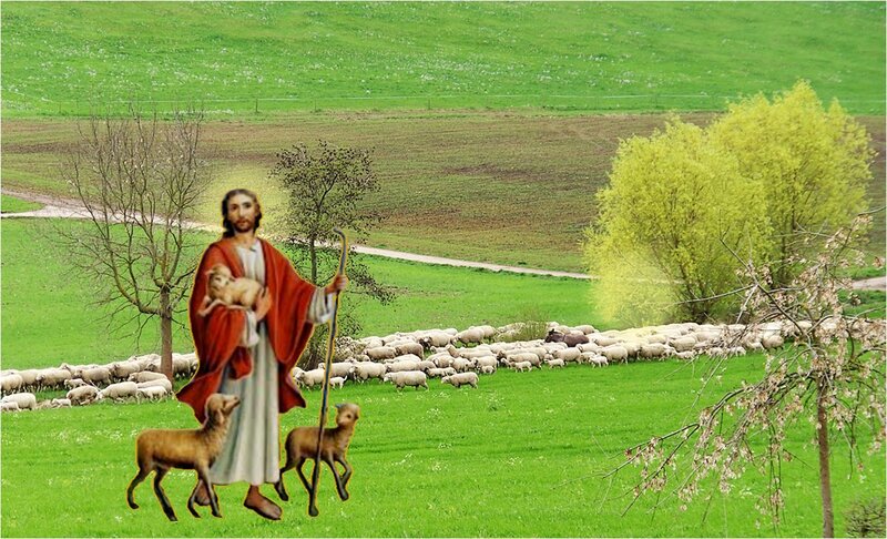 Jesus Holding Lamb — Green, Serene, Spring