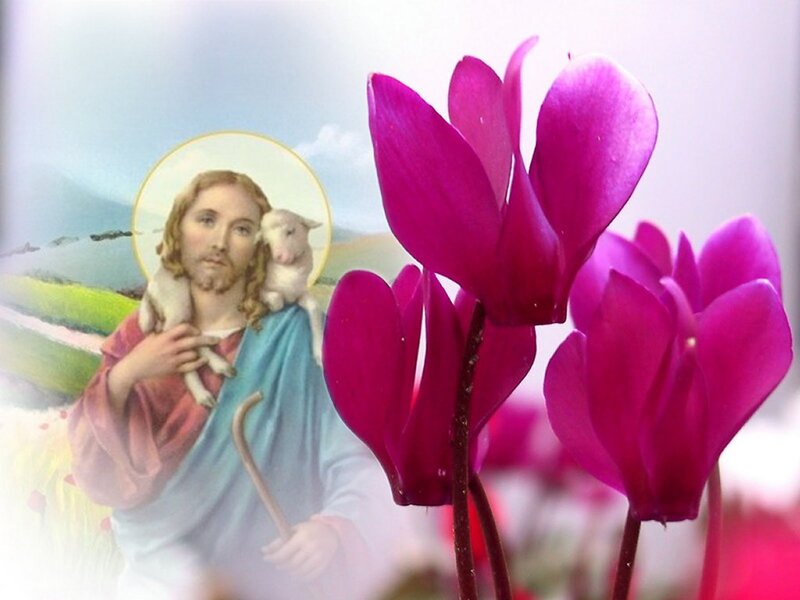 Jesus Holding Lamb — Purple, Serene, Illustration