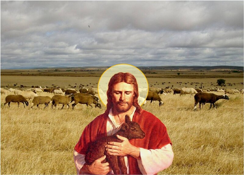 Jesus Holding Lamb — Red, Serene, Afternoon
