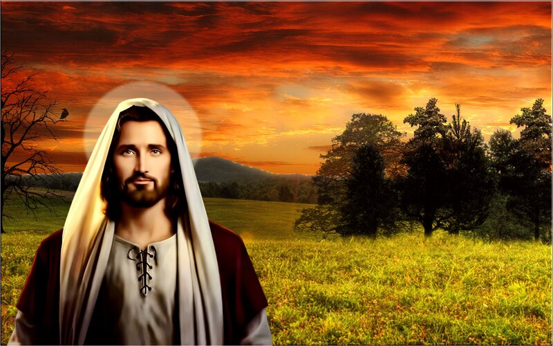 Jesus in a Field
