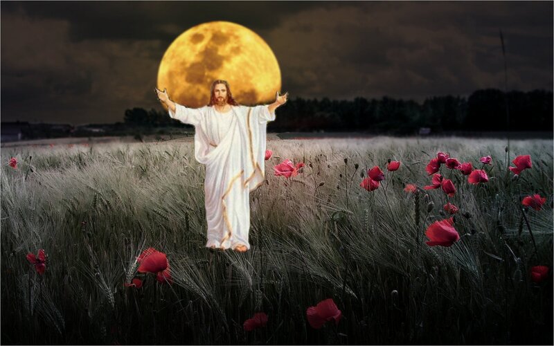Jesus in a Field — Yellow