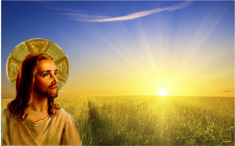 Jesus in a Wheat Field