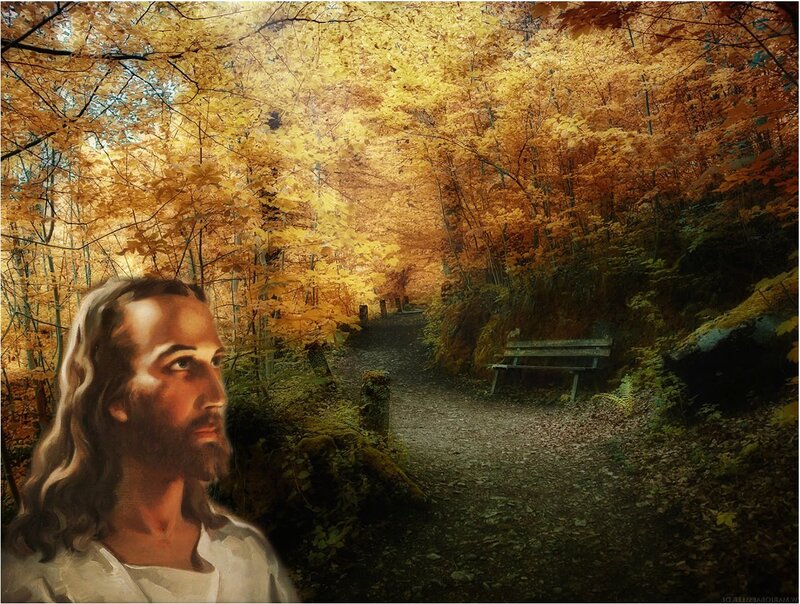 Jesus in Autumn Forest — Yellow, Serene