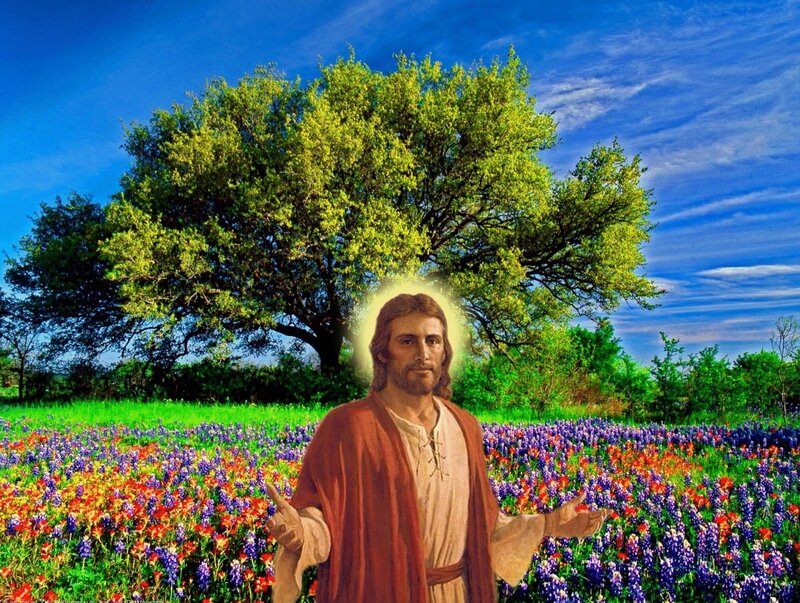 Jesus in Flower Field