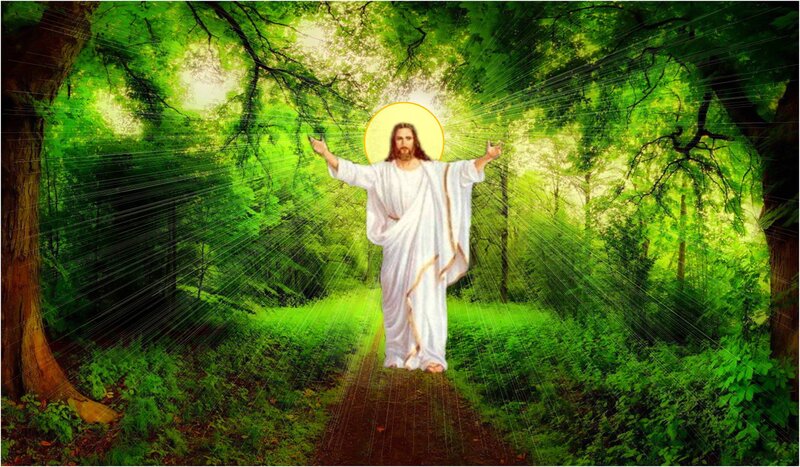 Jesus in Forest — Green, Serene, Afternoon