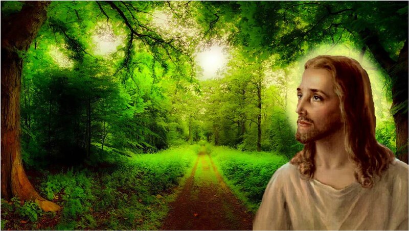 Jesus in Forest — Green, Serene, Morning