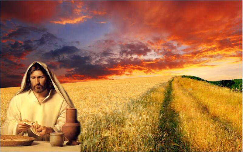 Jesus in Wheat Field — Gold
