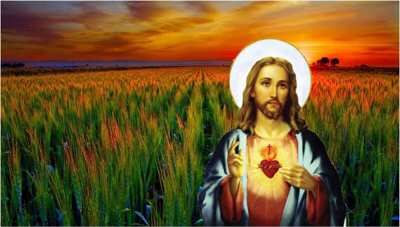 Jesus in Wheat Field — Green