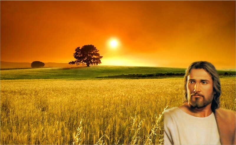 Jesus in Wheat Field — Orange
