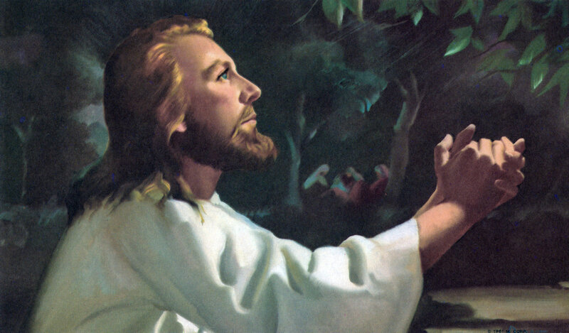 Jesus Praying in Garden — White