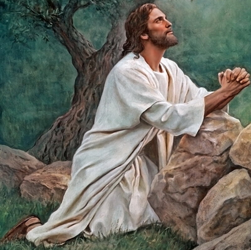 Jesus Praying on a Hill — White