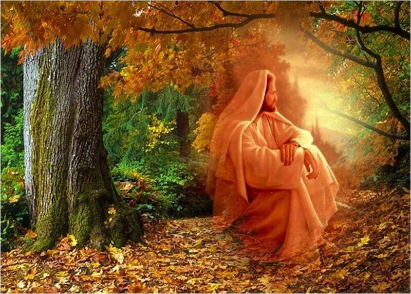 Jesus Sitting in Forest