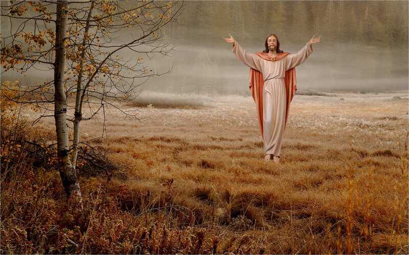 Jesus Statue in Field
