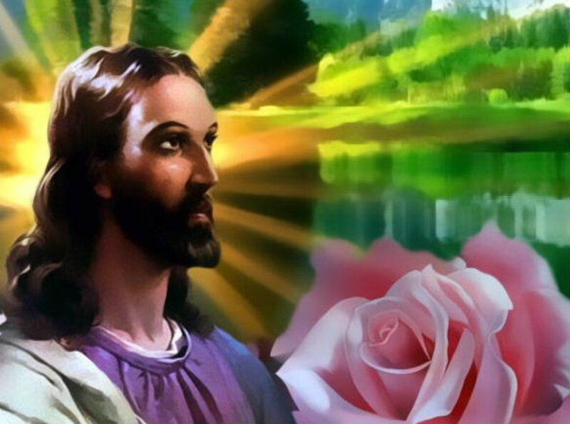 Jesus with a pink rose