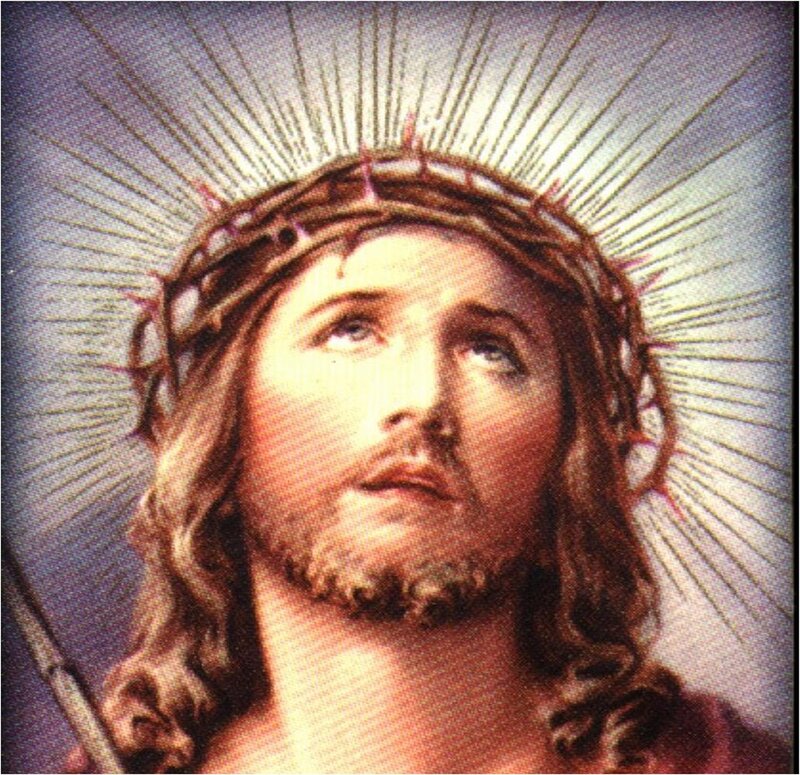 Jesus with Crown of Thorns — Brown, Dramatic