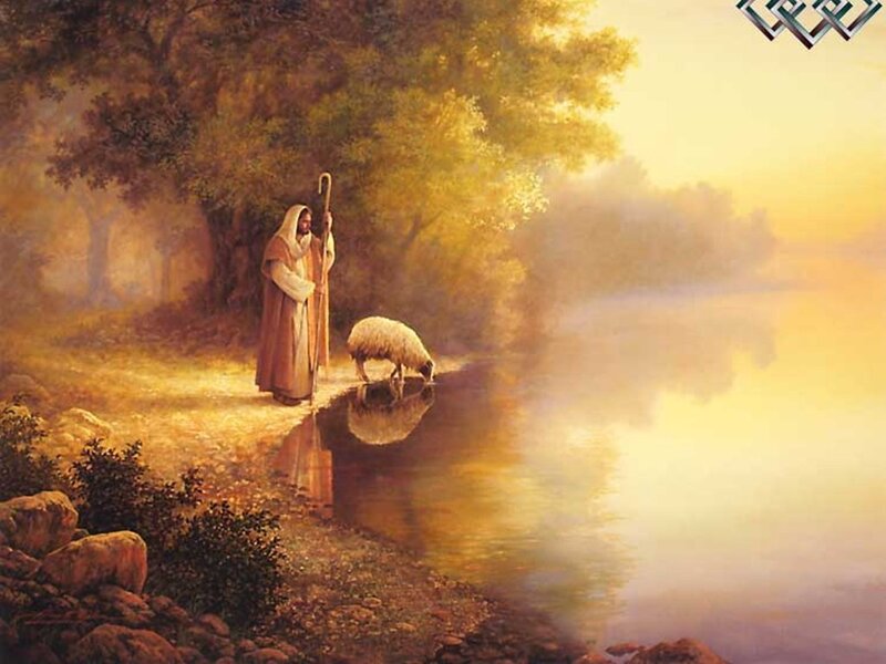Jesus with Sheep — Gold, Serene
