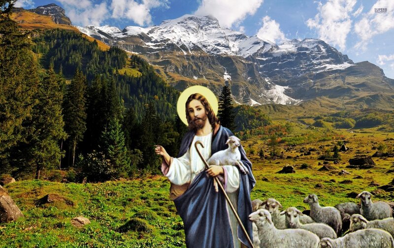 Jesus with Sheep — Green, Serene, Afternoon, Illustration