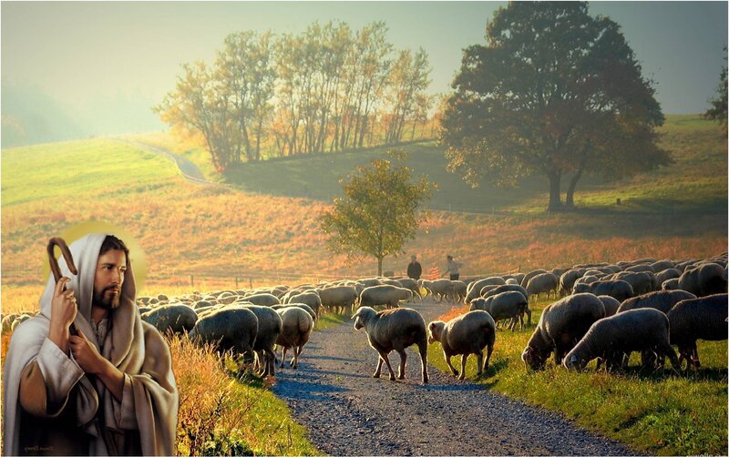 Jesus with Sheep — Green, Serene, Morning