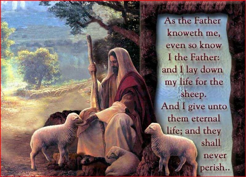 Jesus with Sheep