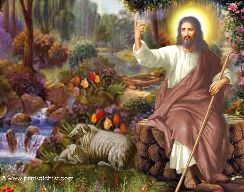 Jesus with Sheep — White, Serene, Afternoon, Illustration