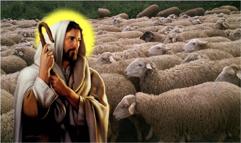 Jesus with Sheep — White, Serene, Afternoon, Painting