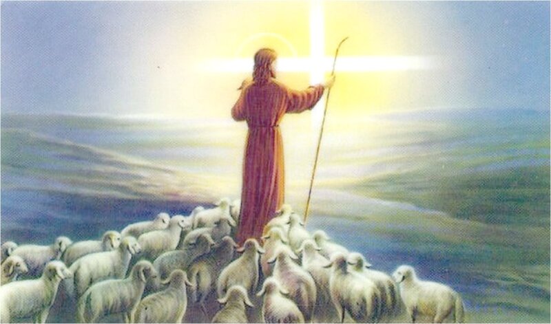 Jesus with Sheep — White, Serene, Sunrise