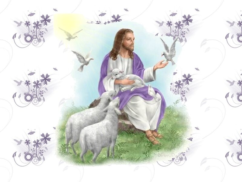 Jesus with Sheep — White
