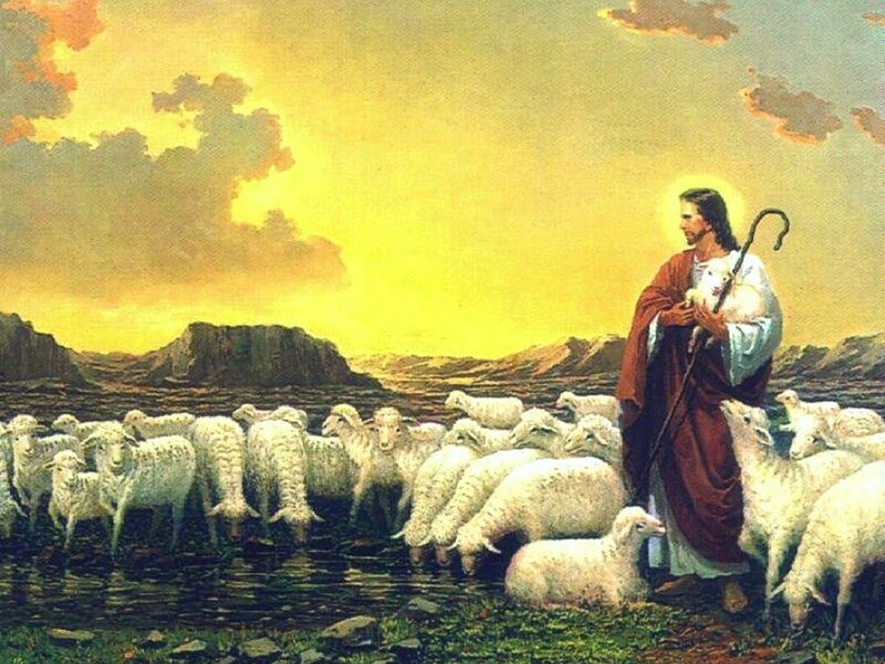 Jesus with Sheep — Yellow, Serene