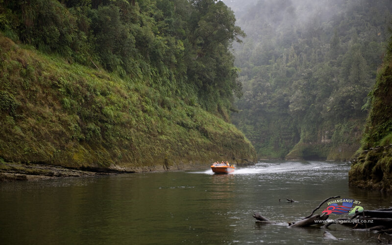 Jet boat in a forested canyon