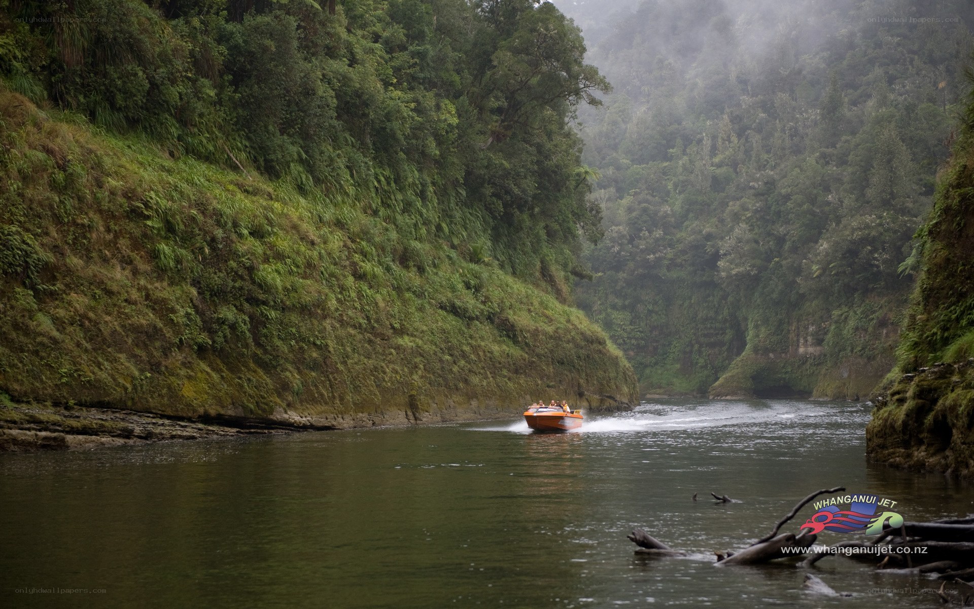 Jet boat in a forested canyon